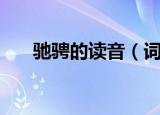 驰骋的读音（词语驰骋的读音是什么）