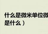 什么是微米单位微米单位（微米单位微米单位是什么）