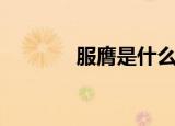 服膺是什么意思（服膺解释）