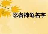 忍者神龟名字（它们的名字有特点）