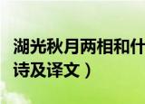 湖光秋月两相和什么意思（湖光秋月两相和原诗及译文）