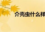 介壳虫什么样（介壳虫简单介绍）