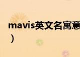 mavis英文名寓意（mavis英文名寓意是什么）