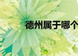 德州属于哪个省（德州相关介绍）