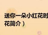 送你一朵小红花时长多少分钟（送你一朵小红花简介）