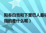 阳春白雪和下里巴人最初指的是什么（阳春白雪和下里巴人指的是什么呢）