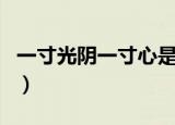 一寸光阴一寸心是什么歌曲（手掌心歌词欣赏）