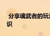  分享魂武者的玩法及魂武者的一些游戏小知识