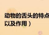 动物的舌头的特点和作用（动物的舌头的特点以及作用）