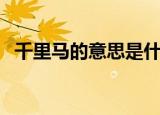 千里马的意思是什么（千里马是什么意思）