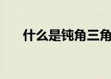 什么是钝角三角形（钝角三角形介绍）