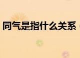 同气是指什么关系（一般同气是指什么关系）