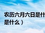 农历六月六日是什么日子（农历六月六日日子是什么）