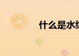 什么是水绵（水绵的简介）