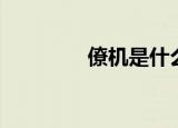 僚机是什么梗（僚机解释）