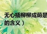 无心插柳柳成荫是什么意思（无心插柳柳成荫的含义）