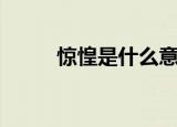 惊惶是什么意思（惊惶怎样解释）