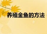 养殖金鱼的方法（养殖金鱼的方法分享）