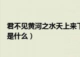 君不见黄河之水天上来下一句（君不见黄河之水天上来后面是什么）