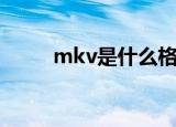 mkv是什么格式（mkv格式介绍）