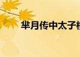 芈月传中太子横是谁（你认识他吗）