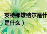 英特那雄纳尔是什么意思（英特那雄纳尔意思是什么）
