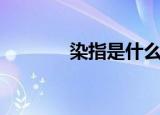 染指是什么意思（染指解释）