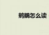 鹓鶵怎么读（鹓鶵读音和解释）