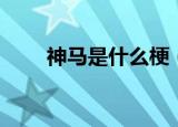 神马是什么梗（神马的意思是什么）