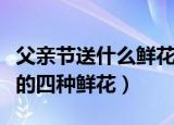 父亲节送什么鲜花最适合介绍（适合送给父亲的四种鲜花）