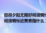 但得夕阳无限好何须惆怅近黄昏什么意思（但得夕阳无限好何须惆怅近黄昏指什么）