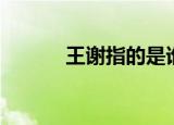 王谢指的是谁（王谢是指哪位）