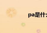 pa是什么（你知道吗）