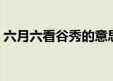 六月六看谷秀的意思（六月六看谷秀的含义）