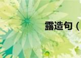 露造句（用露如何造句）