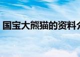 国宝大熊猫的资料介绍（关于大熊猫的简介）