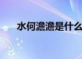 水何澹澹是什么意思（水何澹澹解释）