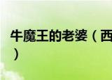 牛魔王的老婆（西游记中牛魔王的妻子叫什么）