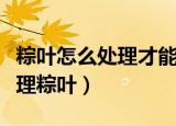 粽叶怎么处理才能包粽子（包粽子之前怎么处理粽叶）