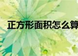 正方形面积怎么算（正方形面积计算方法）