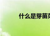 什么是芽苗菜（芽苗菜的解释）