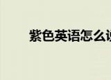 紫色英语怎么说（紫色的英语读音）