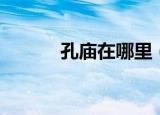 孔庙在哪里（孔庙在什么地方）
