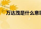 万达茂是什么意思（万达茂的简单介绍）