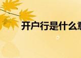 开户行是什么意思（什么是开户行）