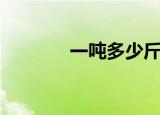一吨多少斤（一吨是多少斤）