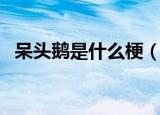 呆头鹅是什么梗（呆头鹅是什么样的称呼）