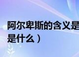 阿尔卑斯的含义是什么意思（阿尔卑斯的含义是什么）