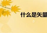 什么是矢量图（矢量图简述）
