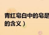 青红皂白中的皂是什么意思（青红皂白中的皂的含义）